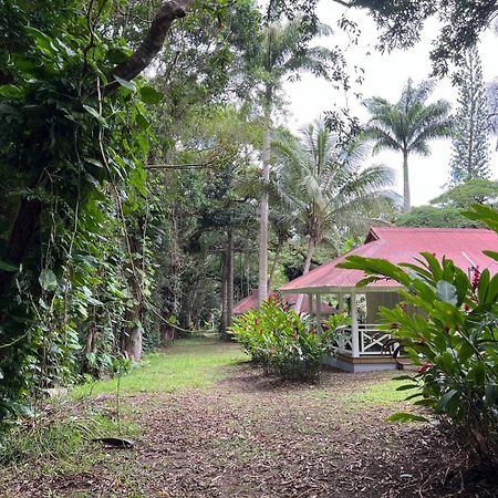 Evasion Bungalow D'Antan Spa Sarraméa Екстериор снимка