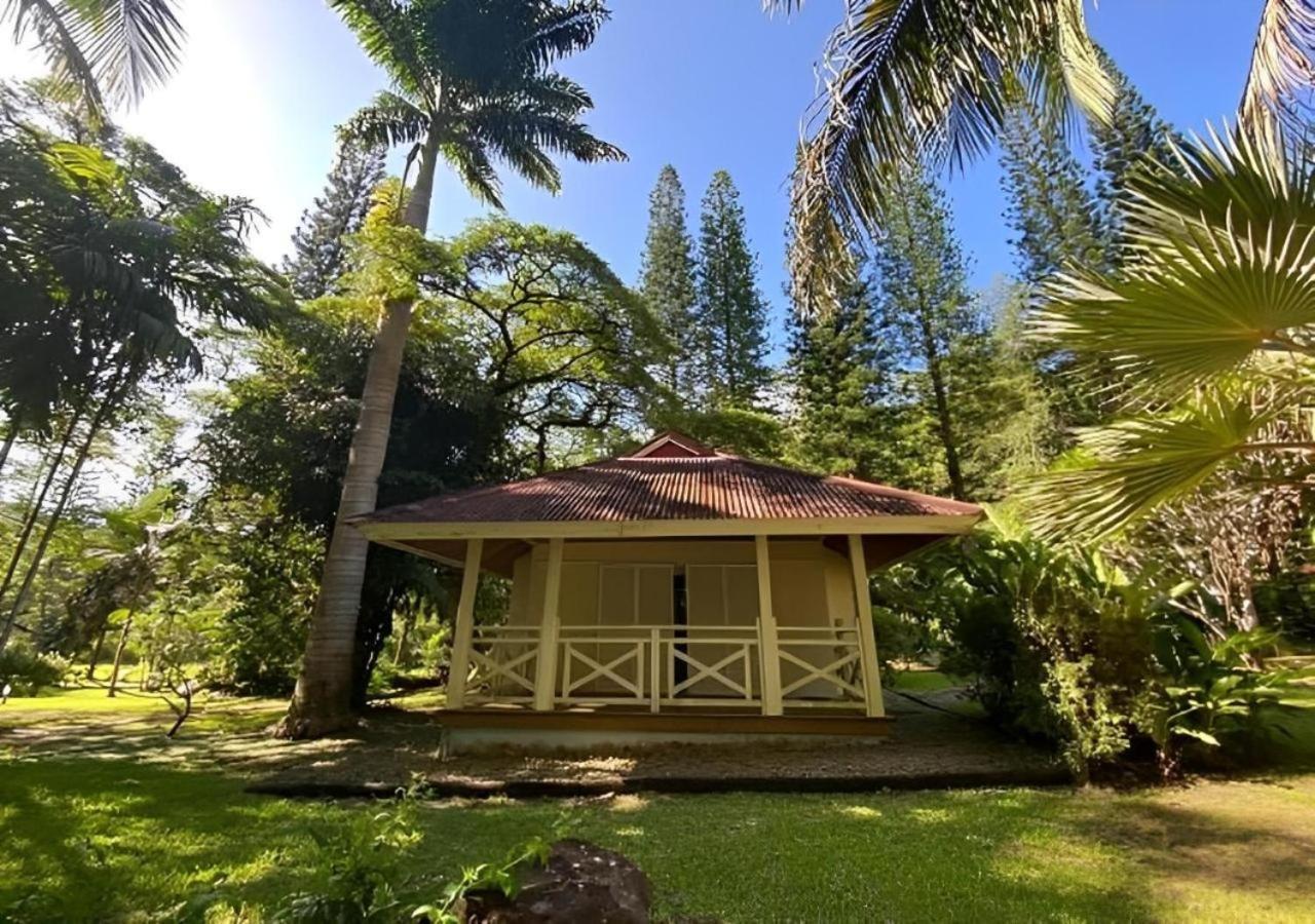 Evasion Bungalow D'Antan Spa Sarraméa Екстериор снимка